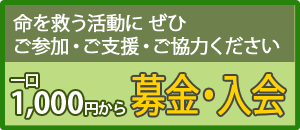 ご寄付・ご入会はこちら
